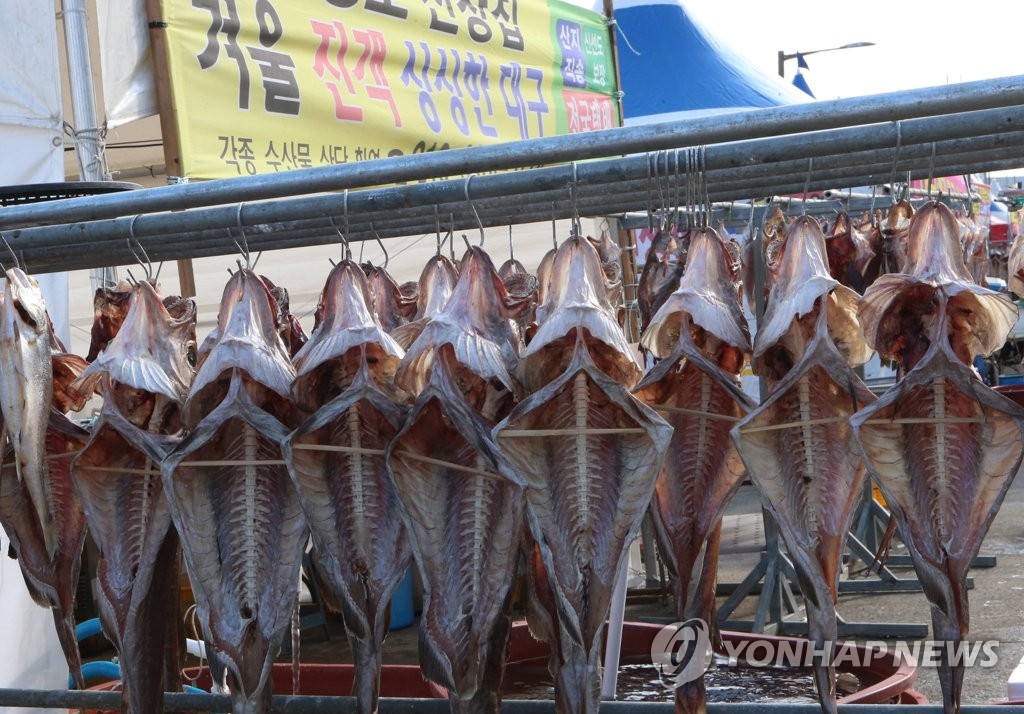 겨울바다 진객 대구잡이 한창…탕 한그릇에 추위 '사르르'