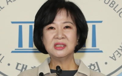 손혜원, 김건희 '얼평'했다 뭇매…野 "청소년기 사진으로…"