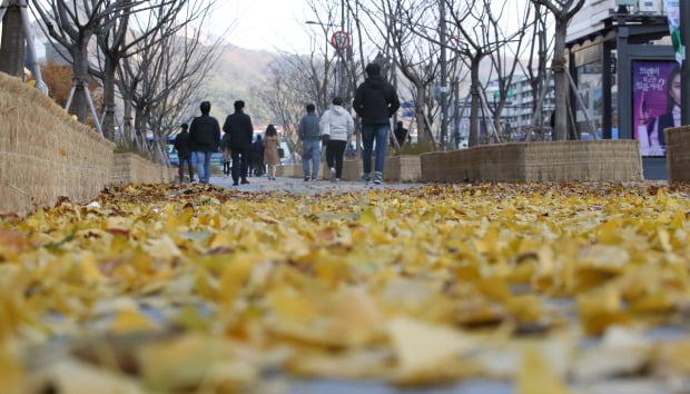 서울 종로구 세종대로 네거리에서 시민들이 쌀쌀한 날씨에 발걸음을 서두르고 있다.(사진=연합뉴스)