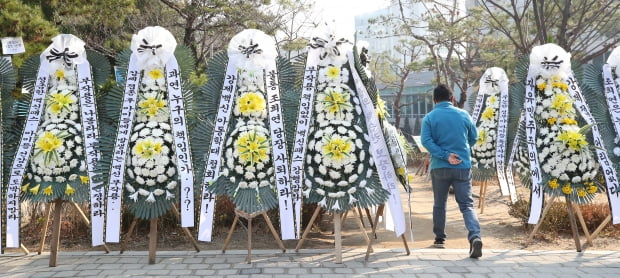 7일 오전 서울 종로구 서울시교육청 앞에 백신패스 철회 촉구하는 학부모들이 보낸 근조화환이 놓여 있다. 사진=연합뉴스