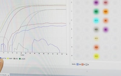 '스텔스 오미크론' PCR 검사에서 안 잡힌다 "다른 변이와 구분 안돼"