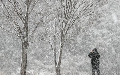 [내일날씨] 수도권 함박눈 쏟아진다…올 겨울 들어 가장 추워