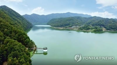 유람선 안 되지만, 도선은 해볼만…대청호 배띄우기 '희비'