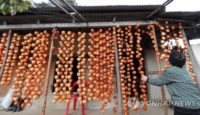 강릉시, 직거래 장터 크리스마스 로컬푸드마켓 개최