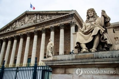 프랑스의회, 대만의 국제기구 참가 지지…중국 반발