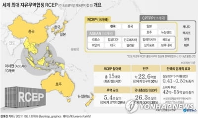 '메가FTA' RCEP 내년 2월 1일 발효…정부, 이행 점검회의 개최