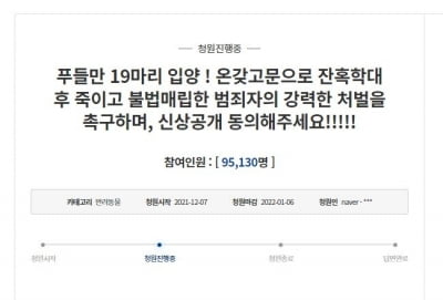 강아지 19마리 입양 후 학대 살해 40대에 공분…"엄벌해야"