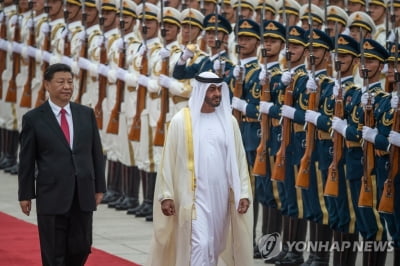 UAE "미국 압박에 중국 항만시설 건설 중단" 확인