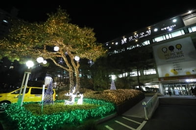 강남구, 연말 맞아 곳곳 '빛의 거리' 조성