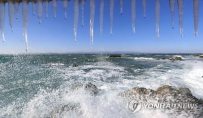 2025년까지 포항 구룡포읍에 산림휴양단지 조성