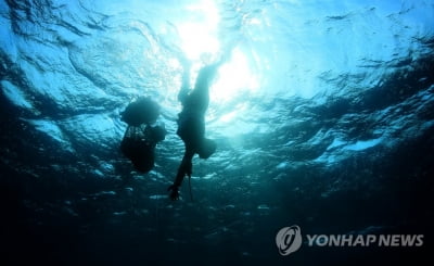 "마을공동체 기반한 해녀문화 원형 존중·보전해야"