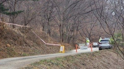 세종 산란계 농장서 고병원성 AI 의심사례 발생