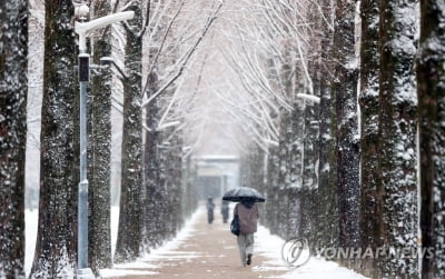 전북 대설주의보에 한파까지 '덜덜'…순창에 6.4㎝ 눈