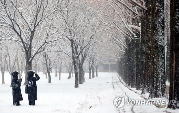 '전국이 꽁꽁' 한파·대설 특보에 눈 펑펑…담양 8.8㎝