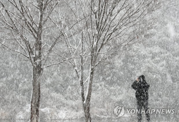 '전국이 꽁꽁' 한파·대설 특보에 눈 펑펑…담양 8.8㎝