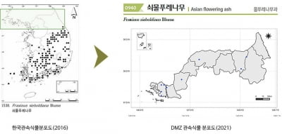 DMZ에서 자라는 식물은?…국립수목원 1천800종 분포도 발간