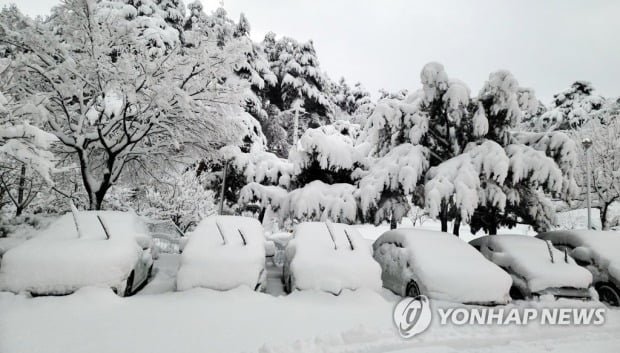 크리스마스에 올겨울 최강 한파…강원영동은 '겨울왕국'