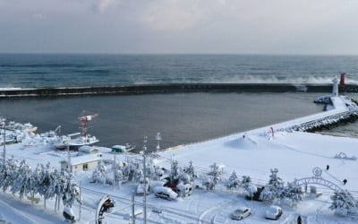 전국 대부분 올겨울 들어 가장 낮은 기온…전라·제주 등엔 눈