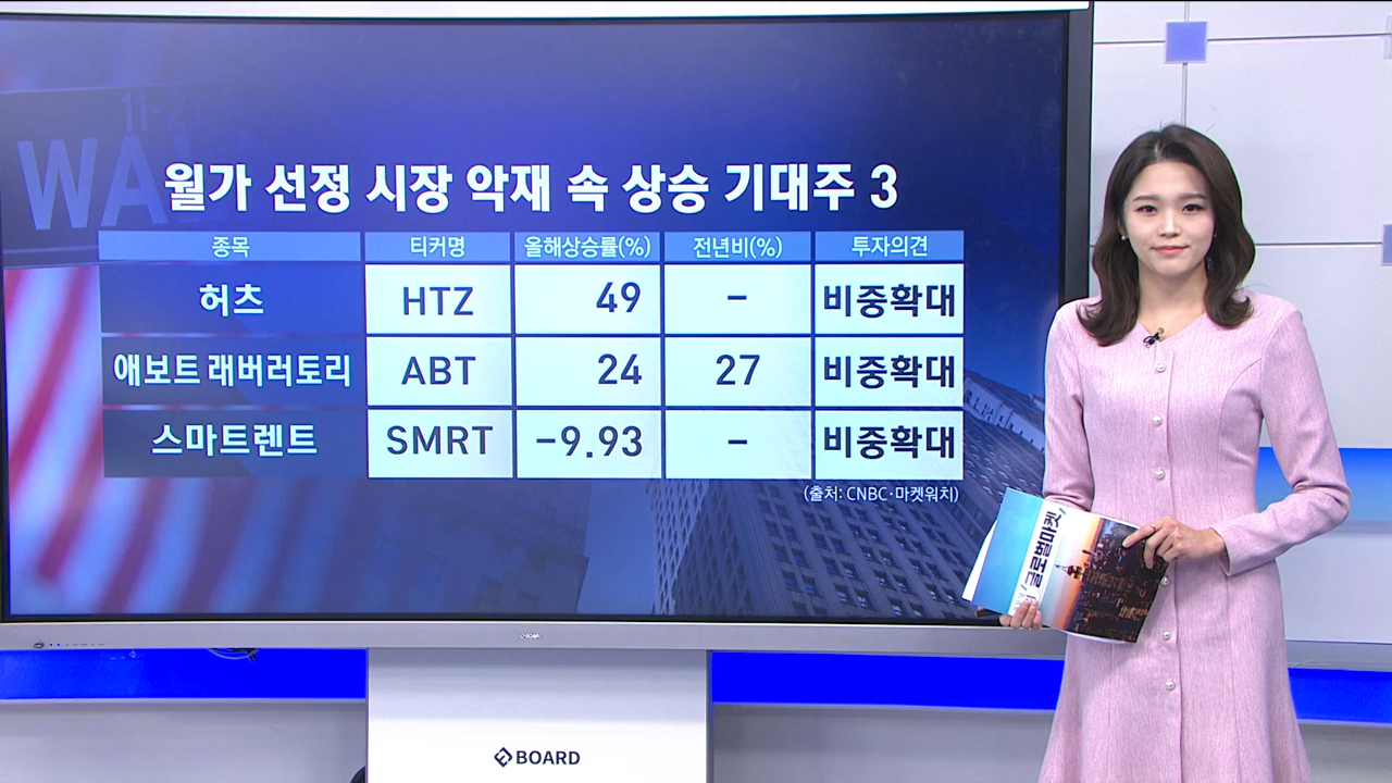 월가 선정 리스크 피해갈 종목