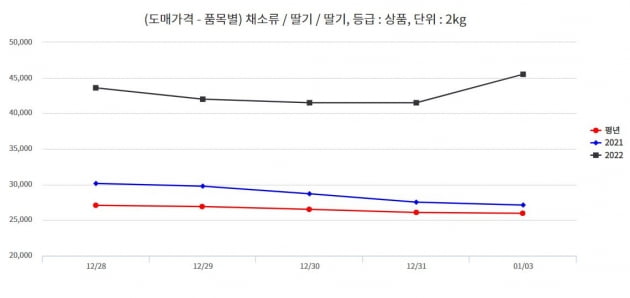 자료=한국농수산식품유통공사