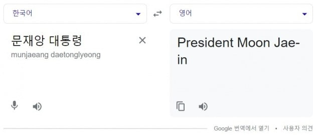 사진=구글 번역기 캡처