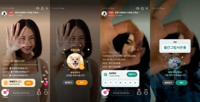 게임부터 경매까지···다양성으로 라이브 커머스 시장 키우는 '그립'