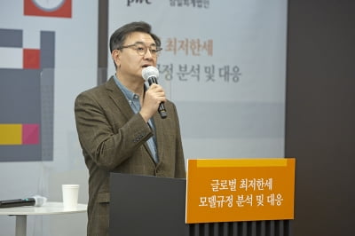 삼일회계법인 "글로벌 디지털세는 국제 조세의 혁명적 전환"