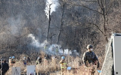 도입 36년된 F-5E 전투기 야산에 추락…"조종사 순직" [종합]