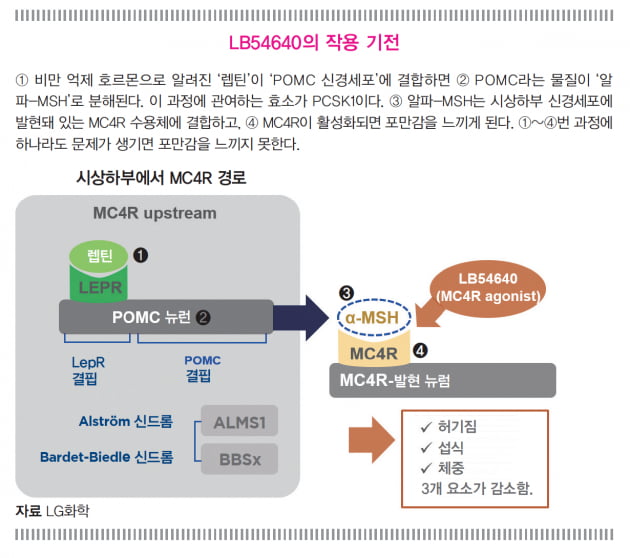 [ISSUE ③COMPANY] LG화학 “희귀 비만 치료제로 빠르게 시장 진입… 일반 비만까지 적응증 확대할 것”