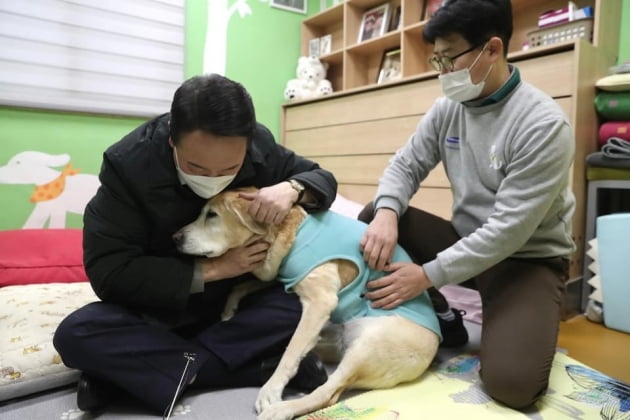 '이런 모습 처음이야' 윤석열 시각장애인 안내견 만나 함박웃음