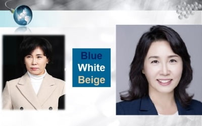 대선후보 배우자 이미지메이킹과 스타일 전략 -김혜경씨편