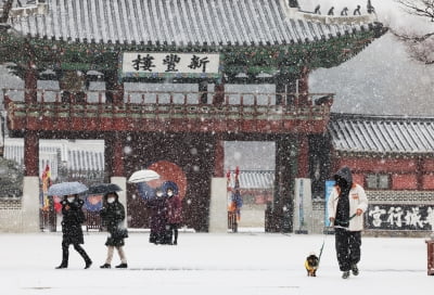 "눈 펑펑 내리는 설날"…지역에 따라 '최대 10㎝' 쌓인다