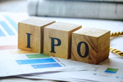역대급 IPO 올해도 계속…현대ENG 대신할 다음 주자는?
