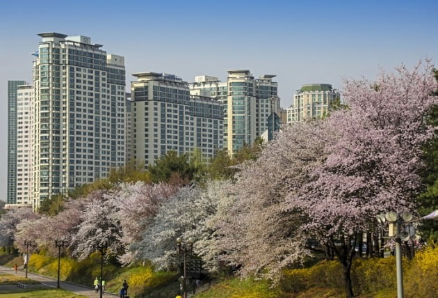 1기 신도시인 경기도 성남시 분당 일대. 사진=게티이미지뱅크 