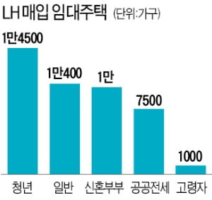 공공임대 4만3400가구 연내 공급