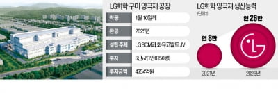  LG화학, 화유코발트와 국내최대 양극재 공장