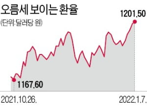 치솟는 원·달러 환율, 1250원 가나