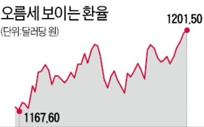 치솟는 원·달러 환율, 1250원 가나