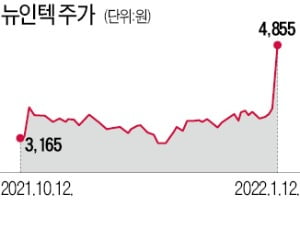 "美·獨시장 개척"…뉴인텍 상한가