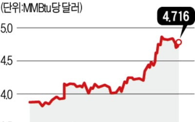 강추위·공급난 우려 덮친 美…천연가스값 '최고치' 또 넘나