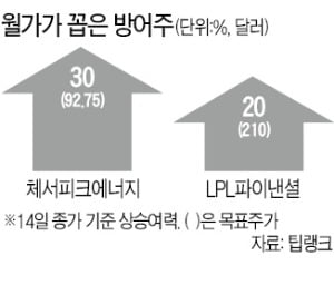 변동성 이길 방어株 체서피크에너지