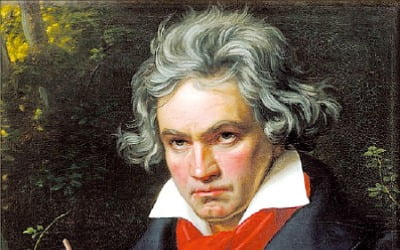 [책마을] 베토벤·모차르트 명곡들엔 공식이 있다