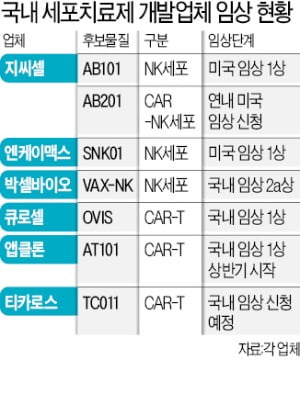 항암 세포치료제 개발 시동 건 'K바이오'