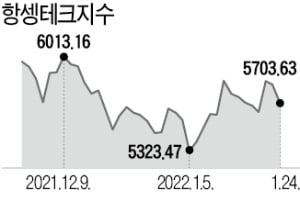 작년 폭락이 호재로…웃고 있는 '홍콩개미'