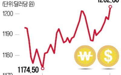 원·달러 환율, 1200원 돌파…1년반 만에 최고