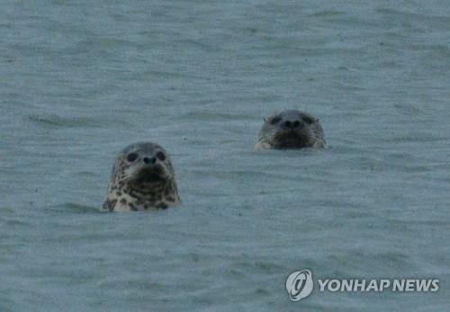 충남 '가로림만 해양정원' 본궤도 오를까…올해 예타 통과 결정