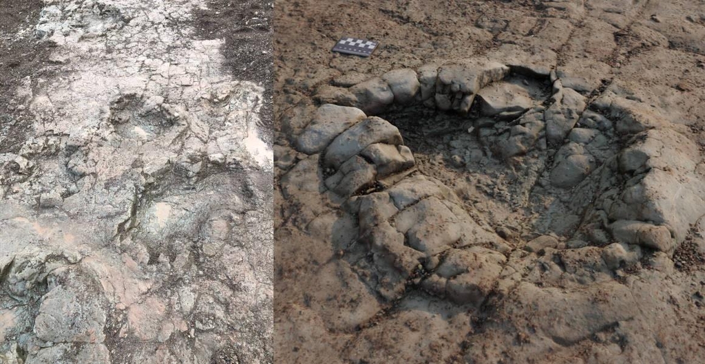 "영국 웨일스 해변에 2억 년 전 공룡 발자국"