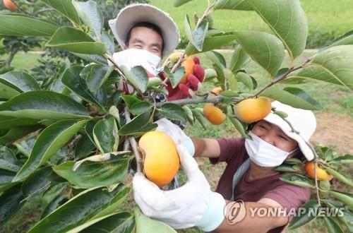 창원시 '청년농업특별시' 선포…경제활력·인구유입 기대