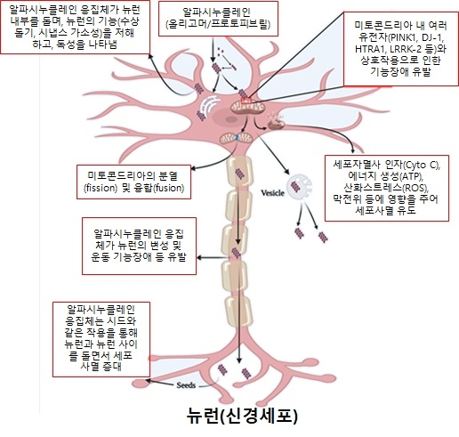 파킨슨병 원인 등 연구 동향 집대성…신약 개발 응용가능