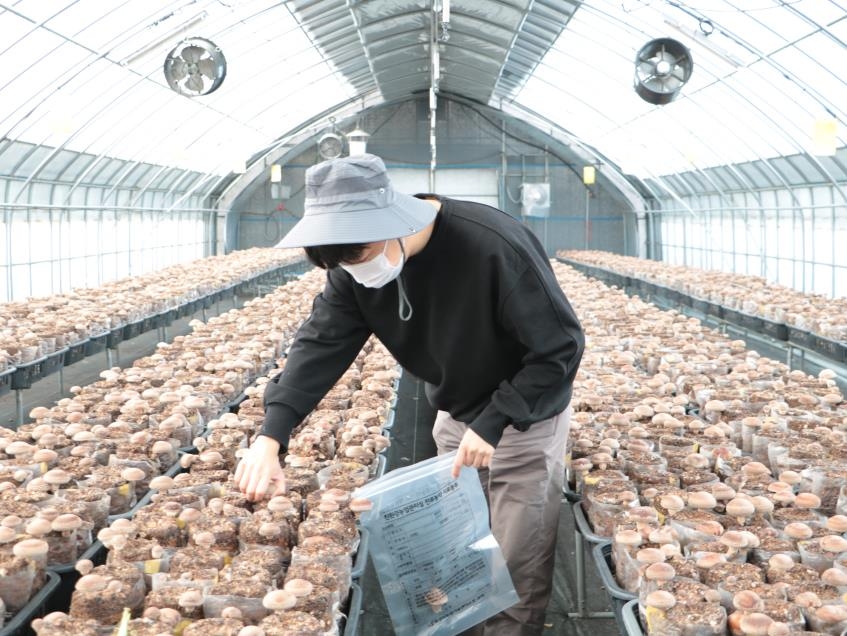 화성시, 로컬푸드 인증제 시행…내년까지 1천건 인증 목표